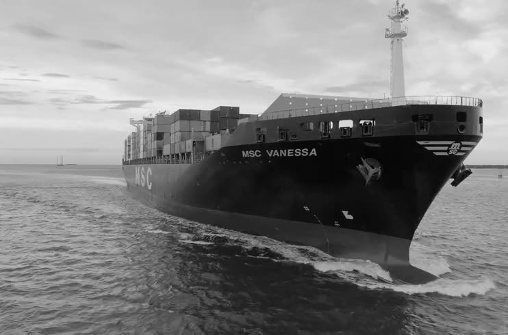 Export & Delivery